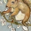 Among the blossom
