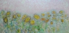 Wild Sunflower Meadow