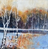 Four seasonal views