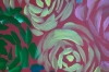 XL Hypoallergenic Sweet Flowers Colourful Roses 5159