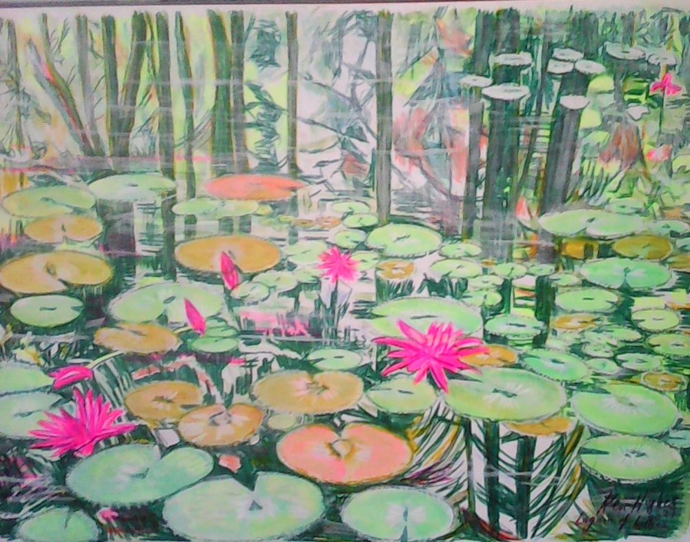 Exotic water lilies