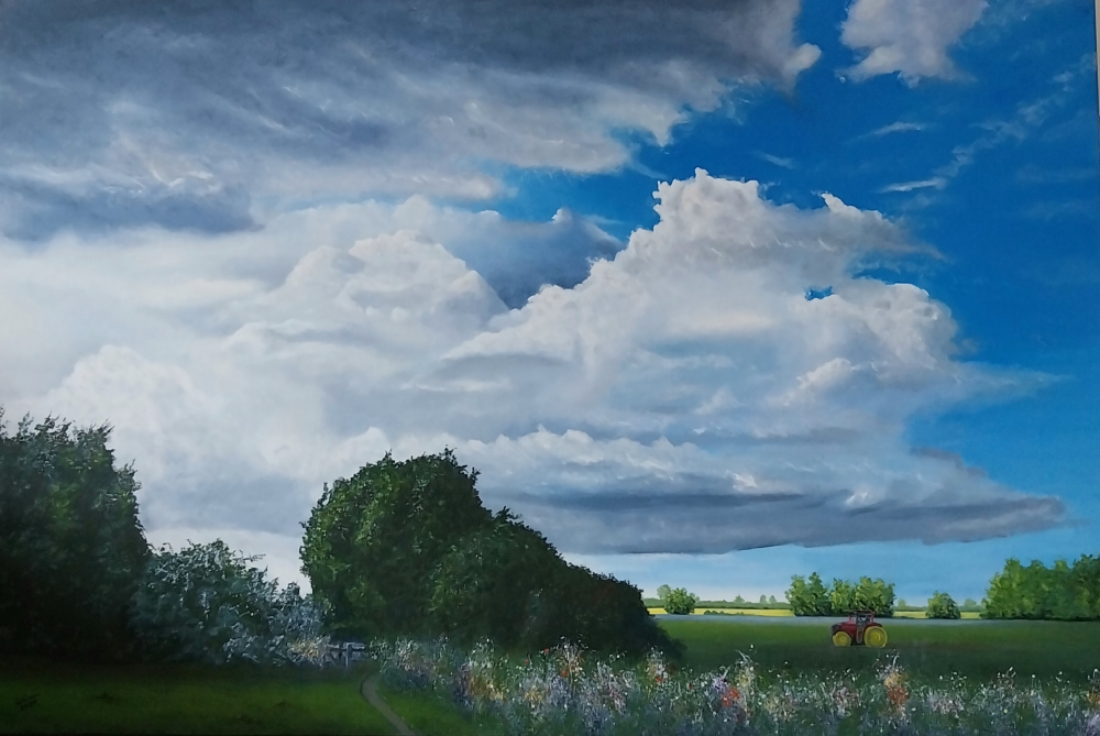 View From Bellcote Meadow, Shefford