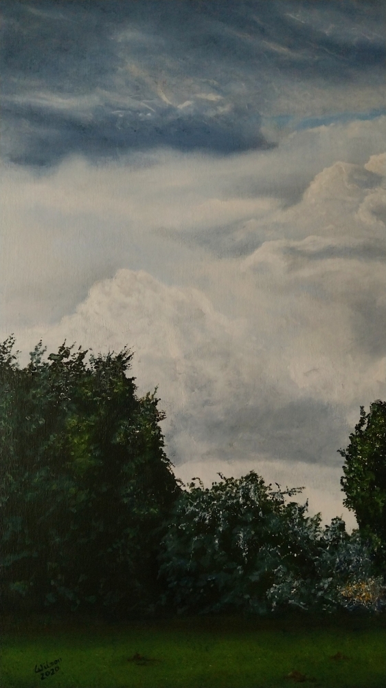 View From Bellcote Meadow, Shefford