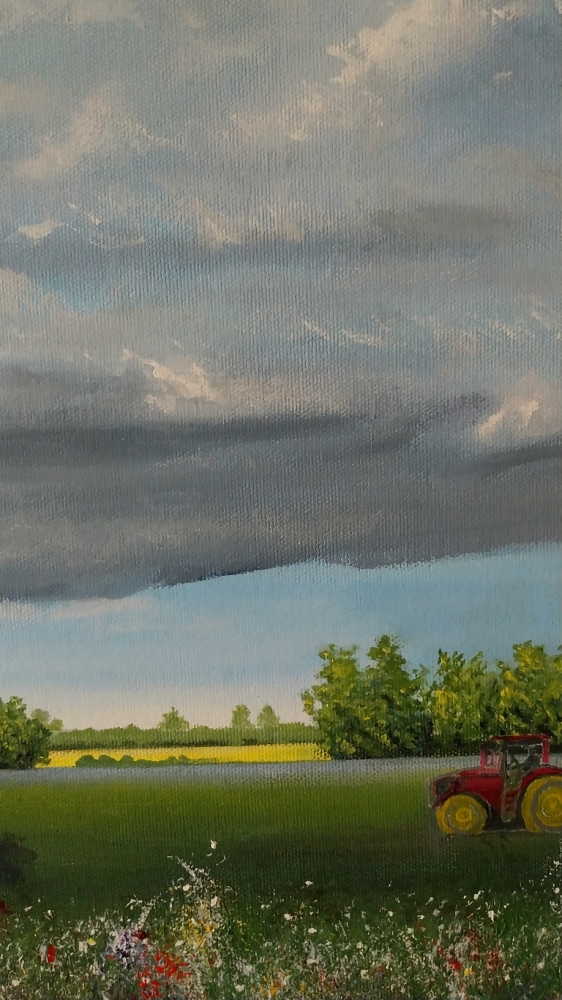 View From Bellcote Meadow, Shefford