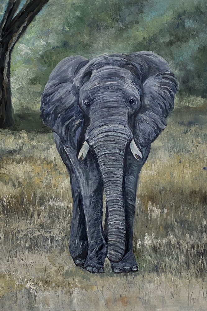The Elephant's Hope