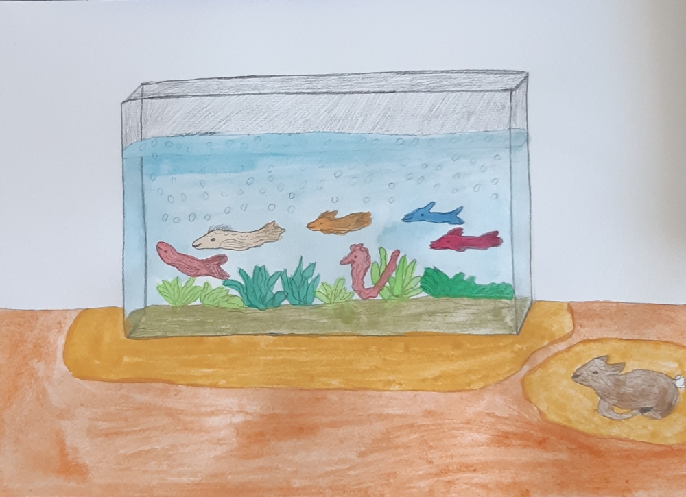 Aquarium
