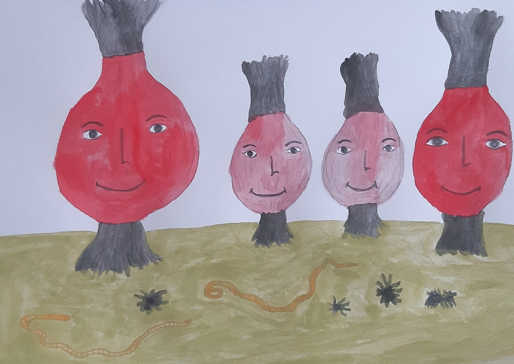 Onion family