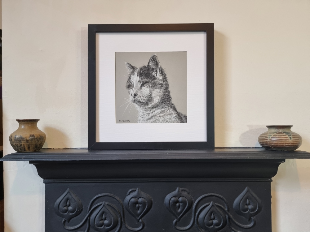Pebbles - Framed cat portrait drawing