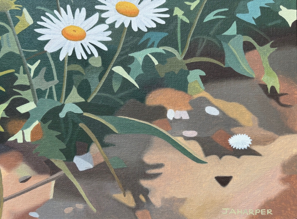 Morning Walk, With Daisies