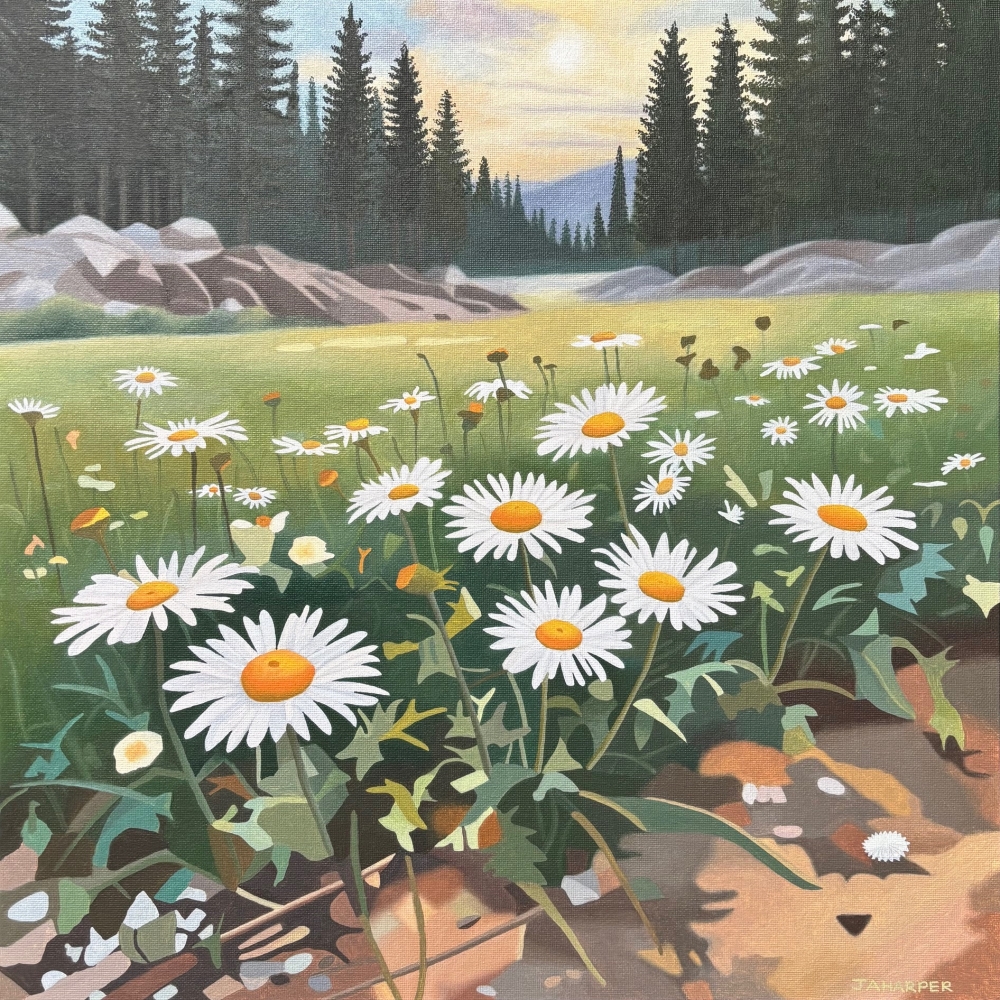 Morning Walk, With Daisies