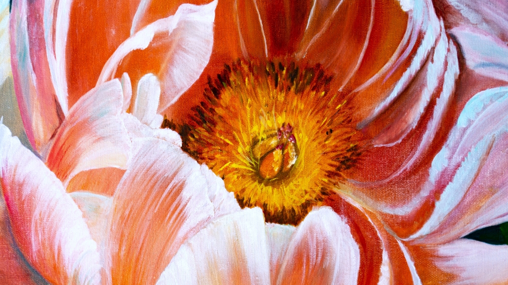 Radiance in Bloom - Macro Coral Peonies