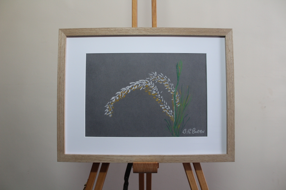 Summer Grass