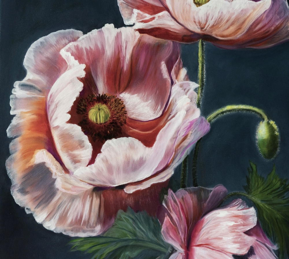 Velvet Poppies
