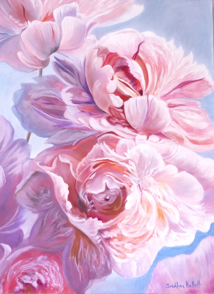 Whisper of pink peonies