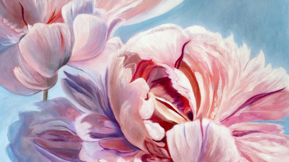 Whisper of pink peonies