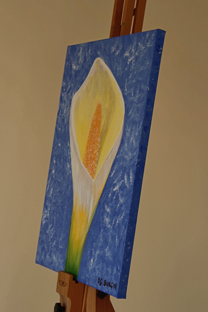 White Calla Lilly 