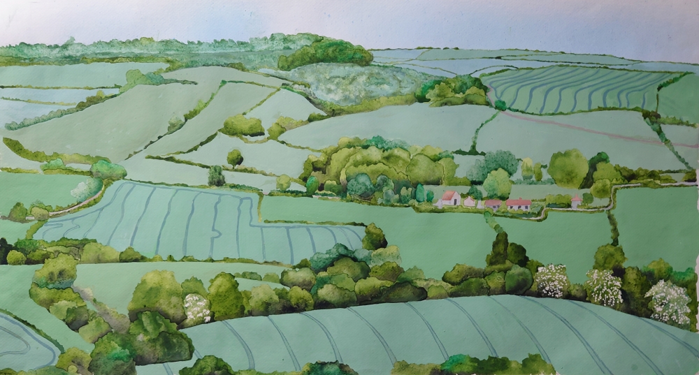 Dorset Fields - 01