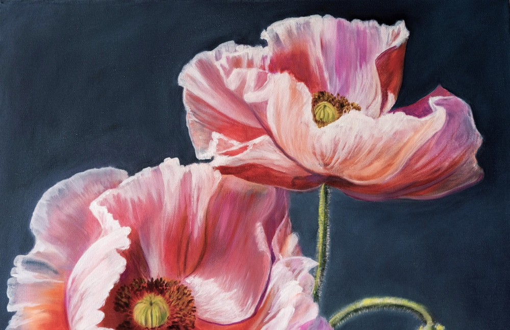 Velvet Poppies