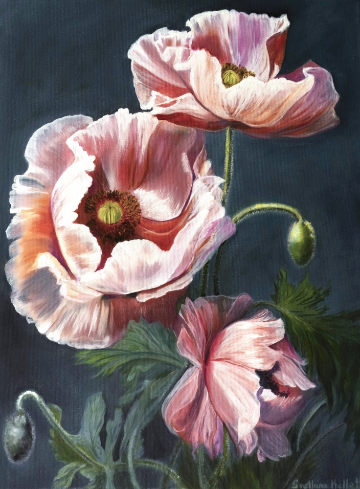 Velvet Poppies