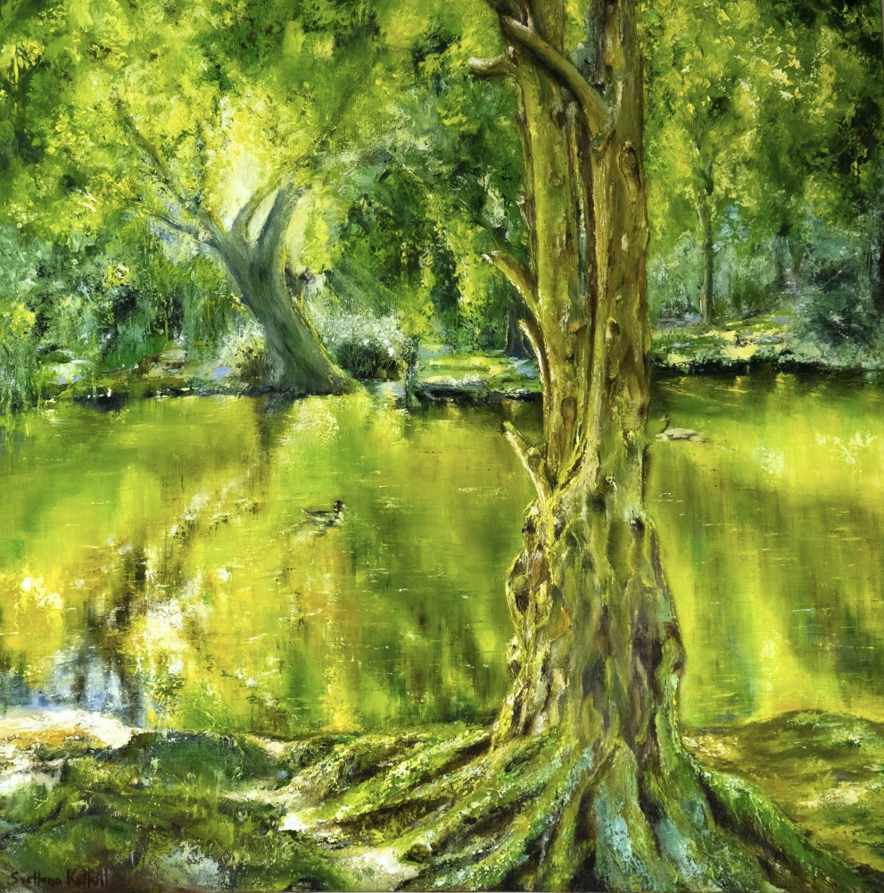 Enchanted Forest