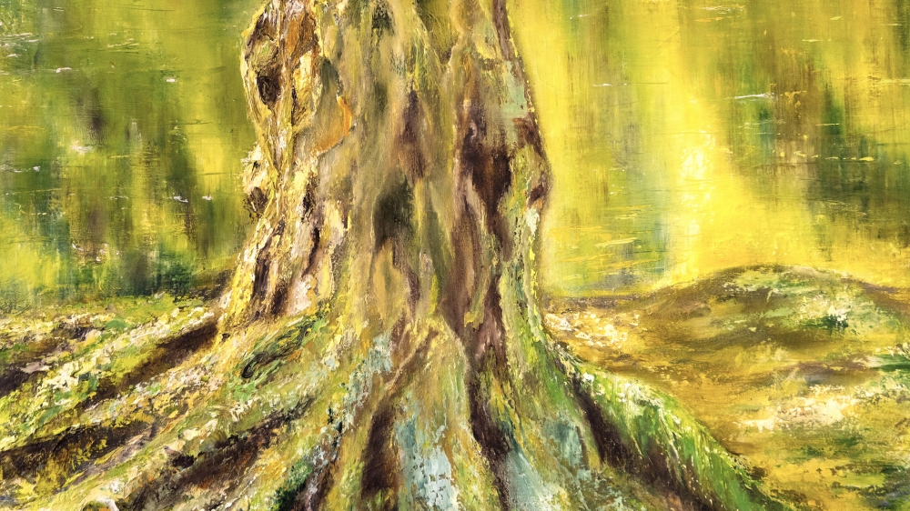Enchanted Forest
