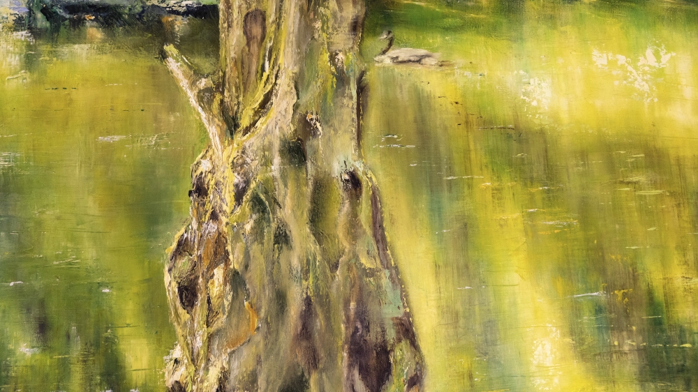 Enchanted Forest