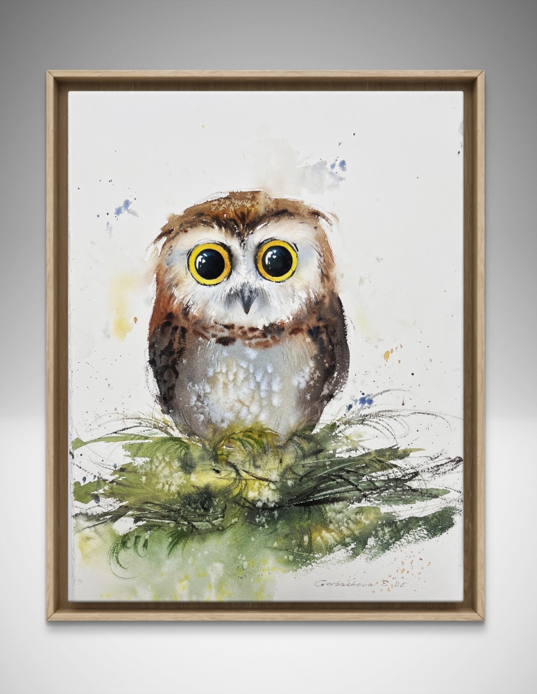 The Curious Owl