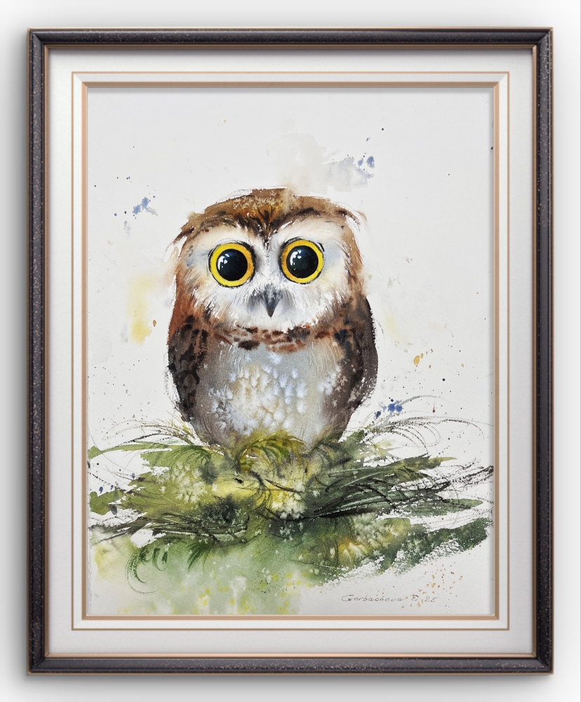 The Curious Owl