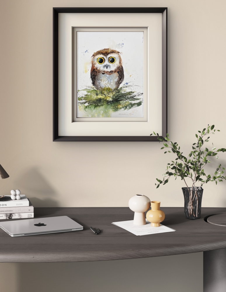 The Curious Owl