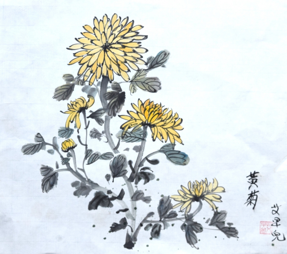 Yellow Chrysanthemum