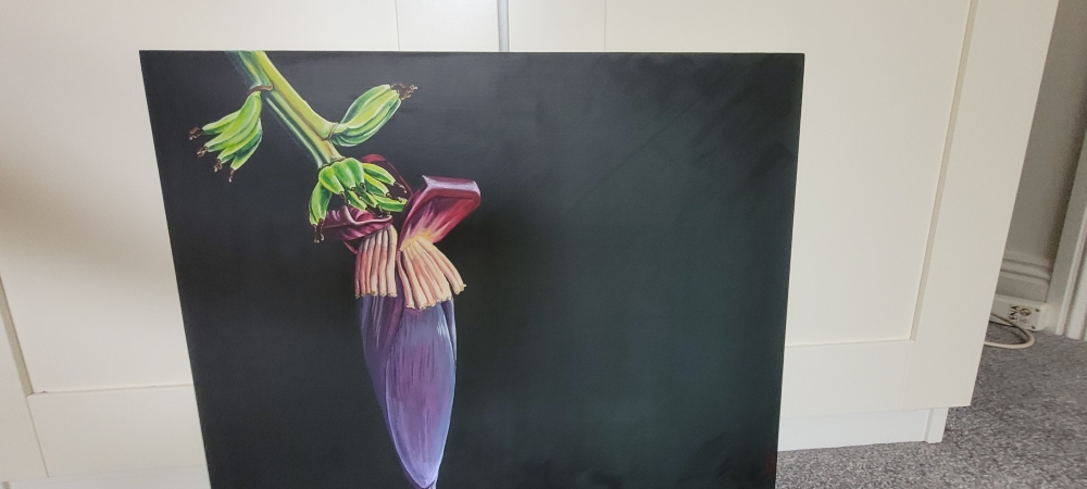 Purple banana flower 