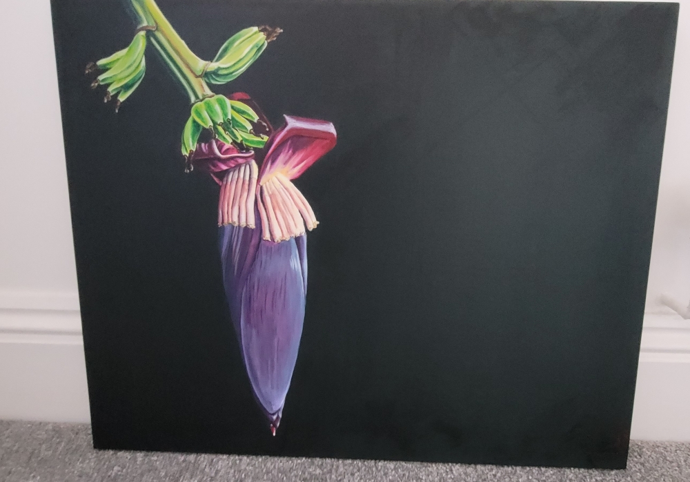 Purple banana flower 