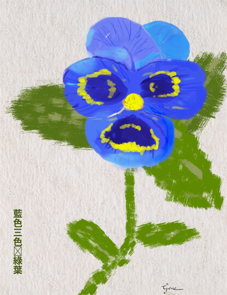 Blue Pansy Hanzi