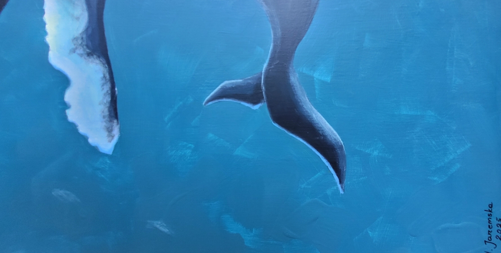 Blue Whale