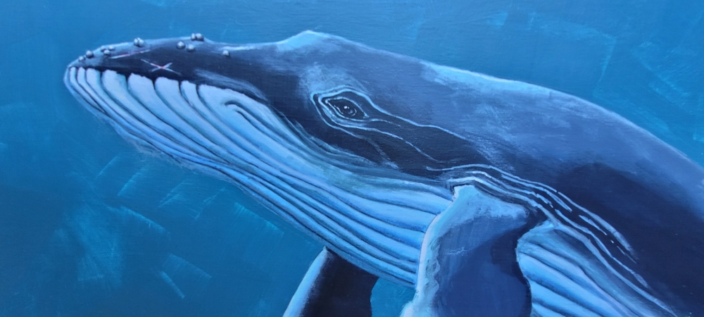 Blue Whale