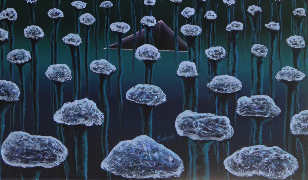 Carnations 