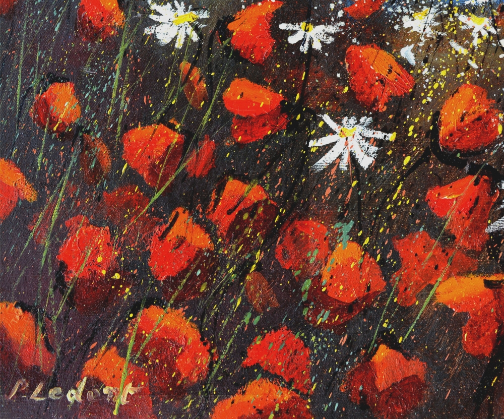 red poppies