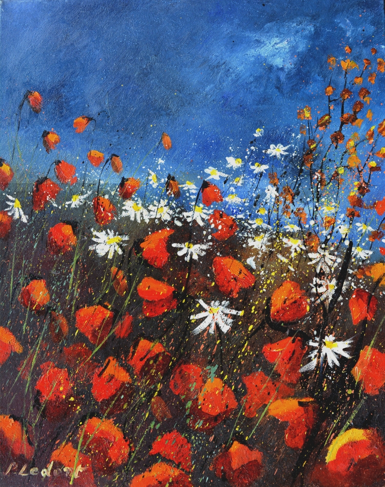 red poppies