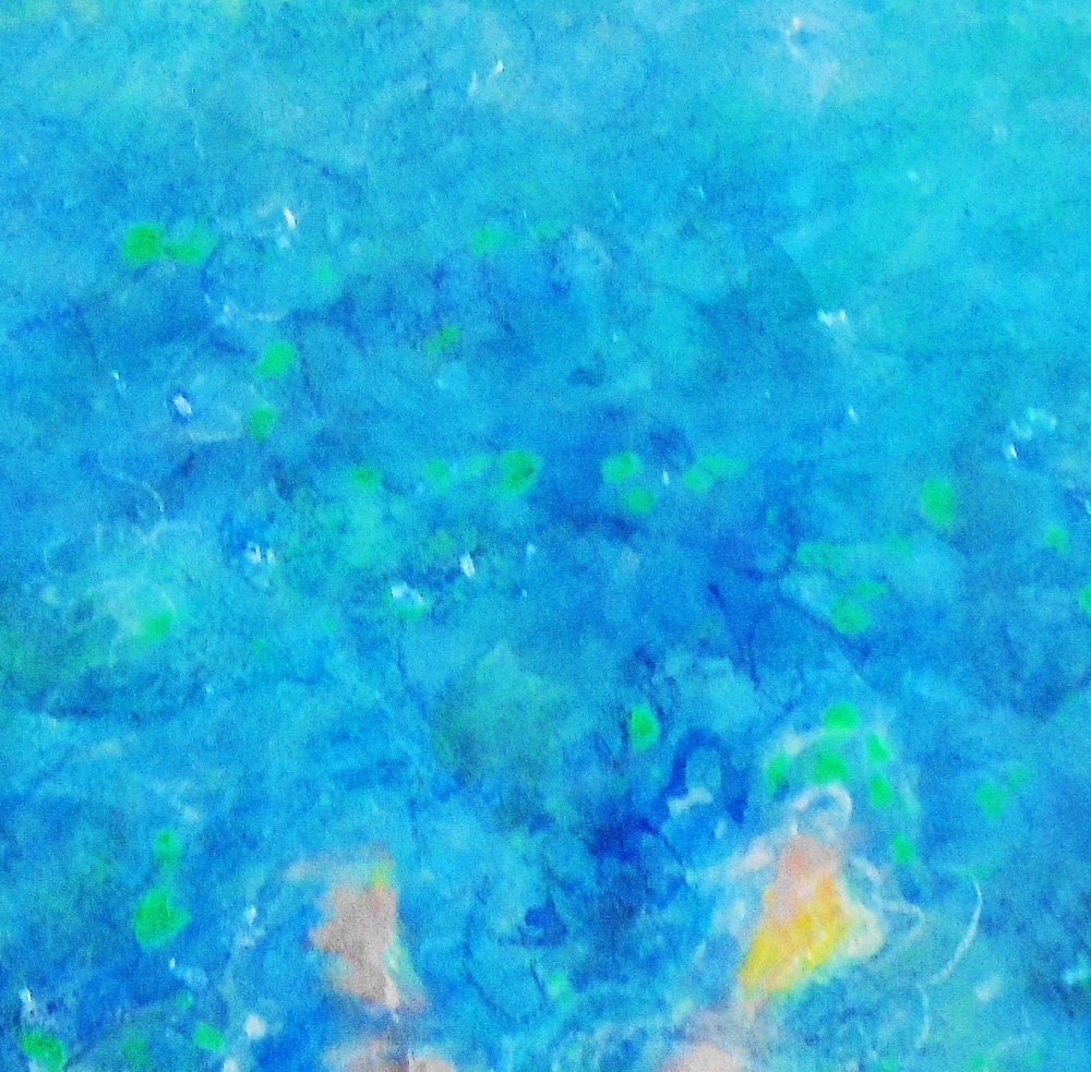 Wild water swimmer at rest