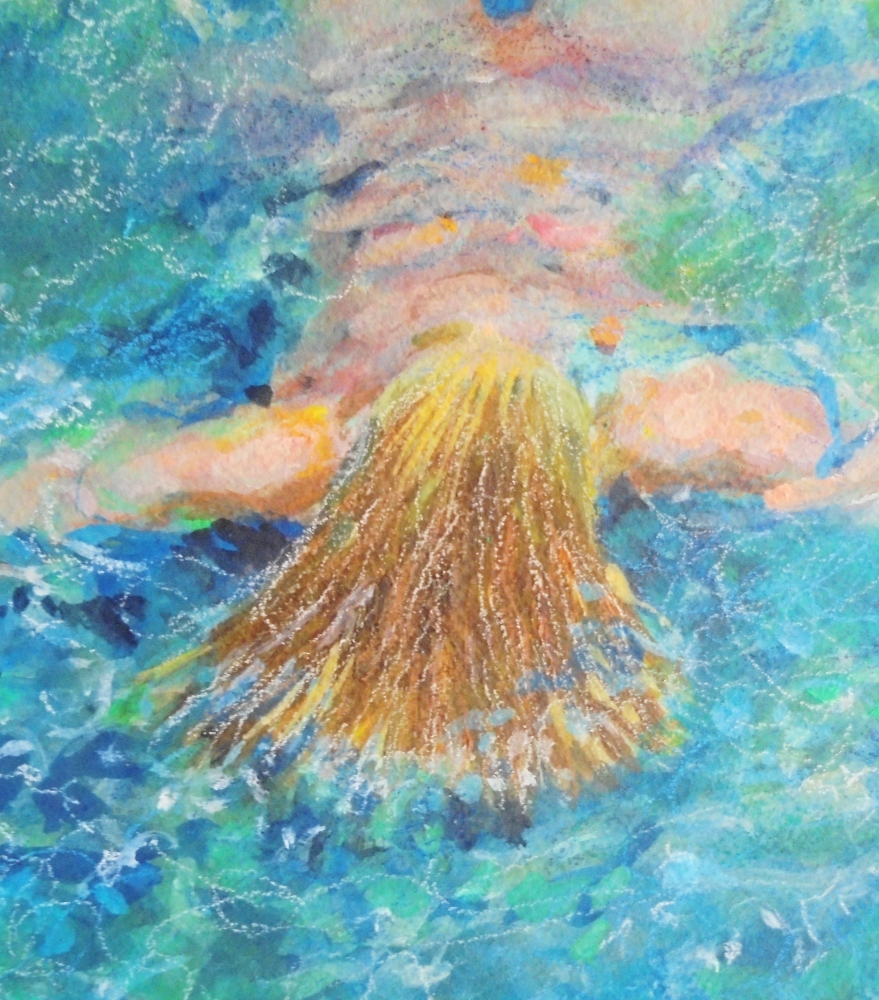Wild water swimmer at rest