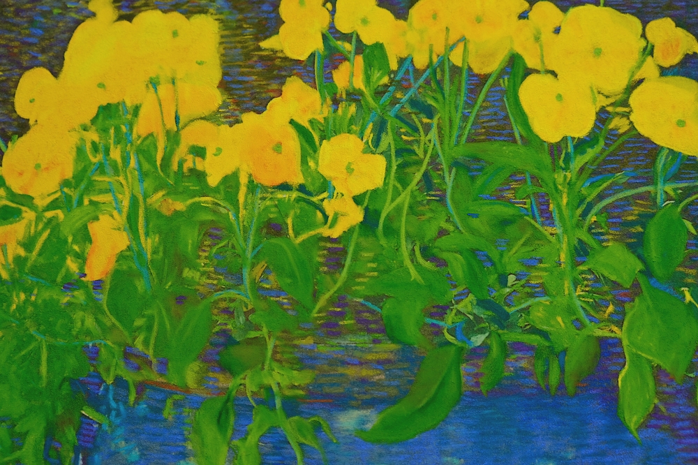 Yellow Pansies - The Great Escape