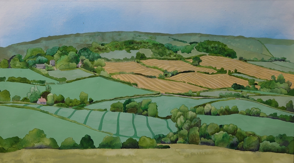 Dorset fields - hay harvest time
