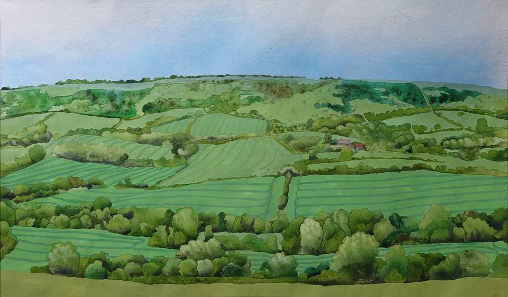 Dorset fields - 02