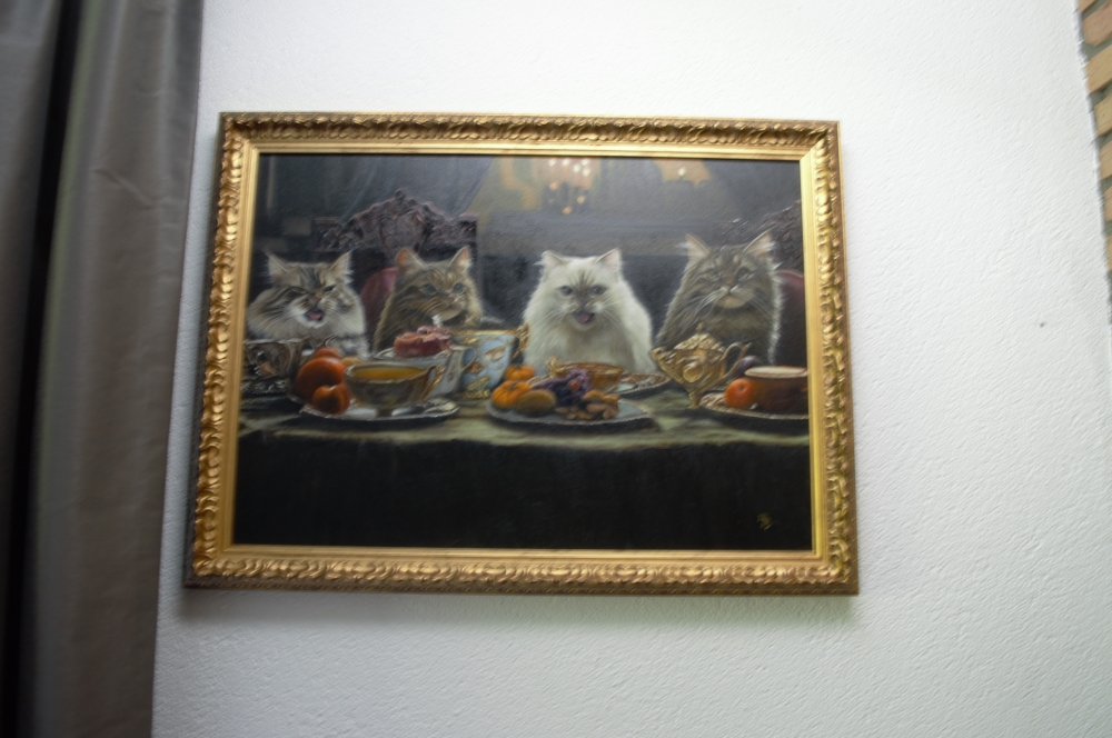 Mischievous Cats