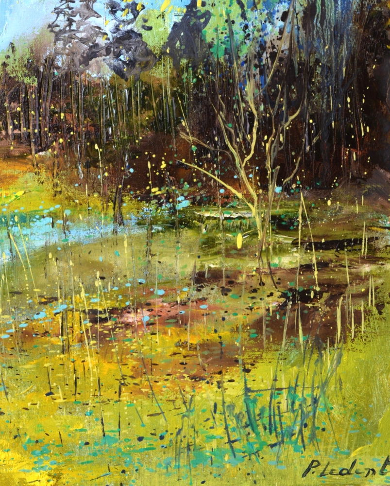 Spring in the wood 