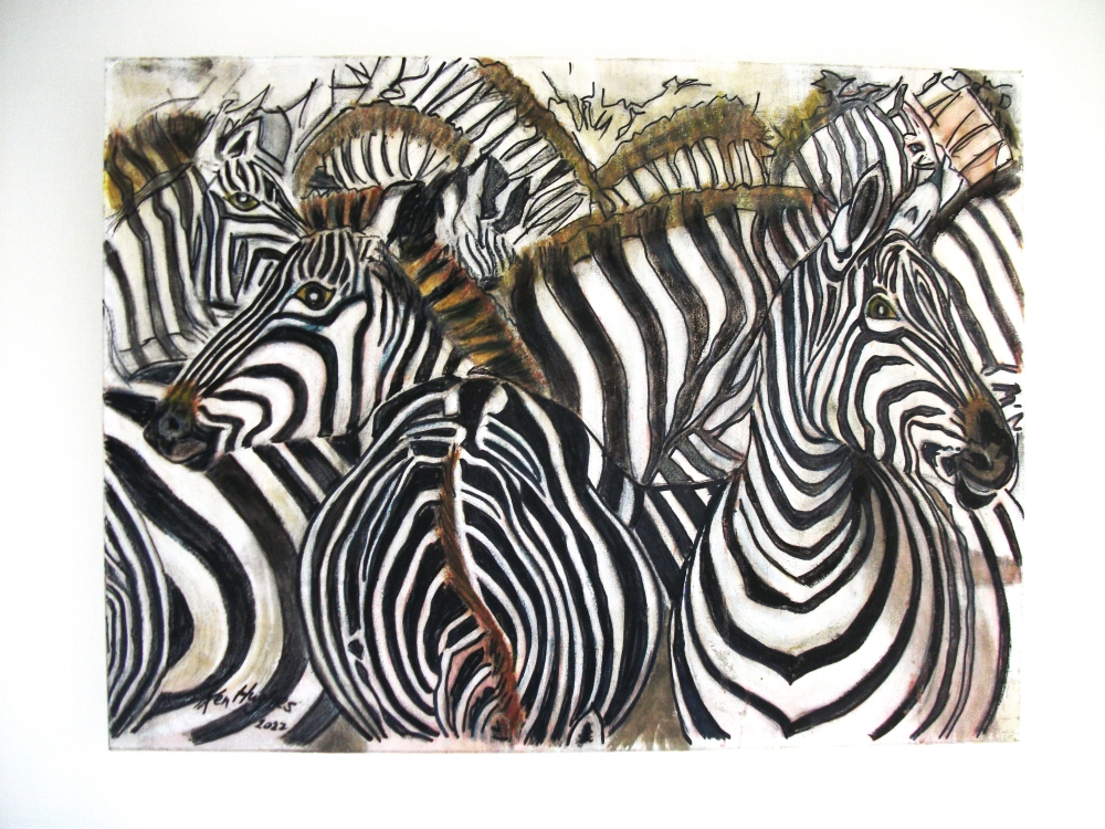 Zebras crossing