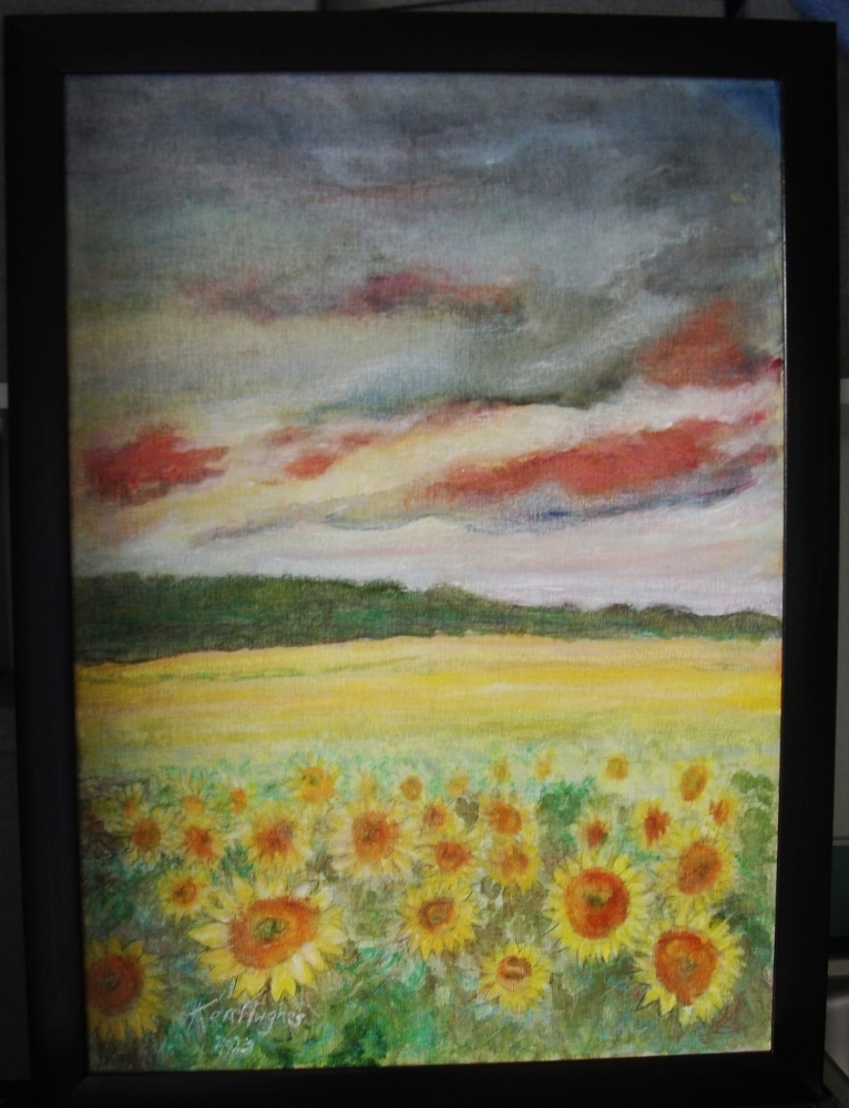 Field of Sunflowers