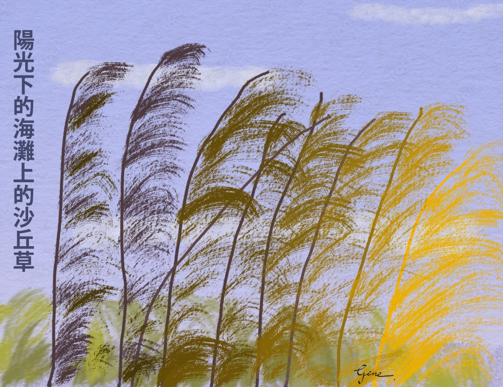 Dune Grass Hanzi