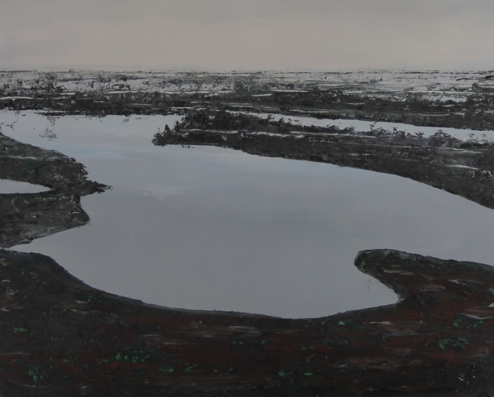 Endless Swamps 
