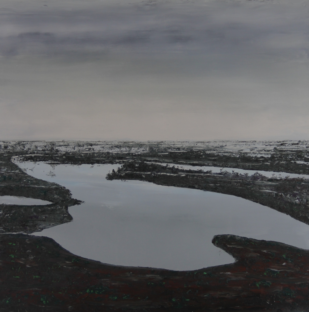 Endless Swamps 